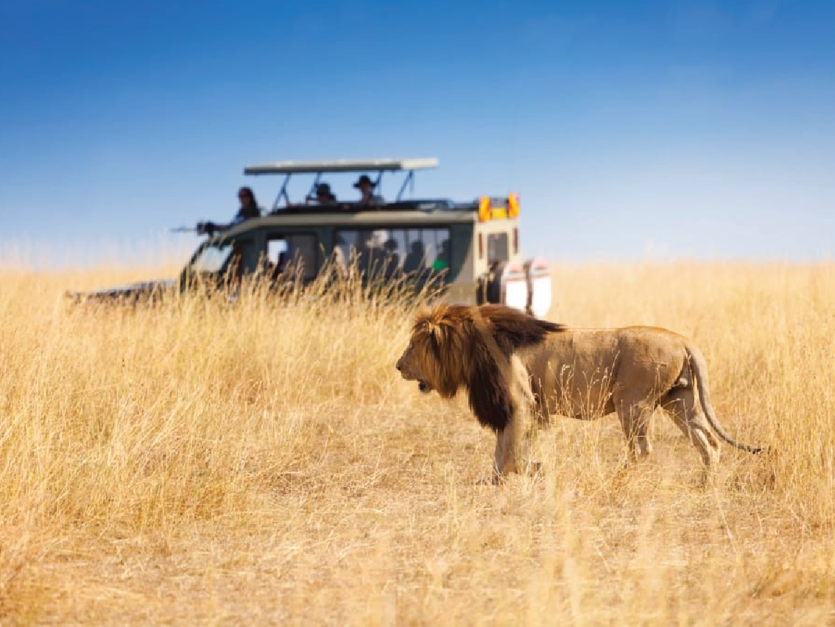 Inland safari 10 Days Luxury Travel Package for 4 pax